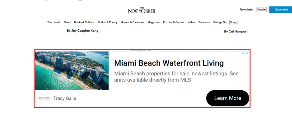tracy galia display remarketing real estate ad of miami beach waterfront living in the new yorker website